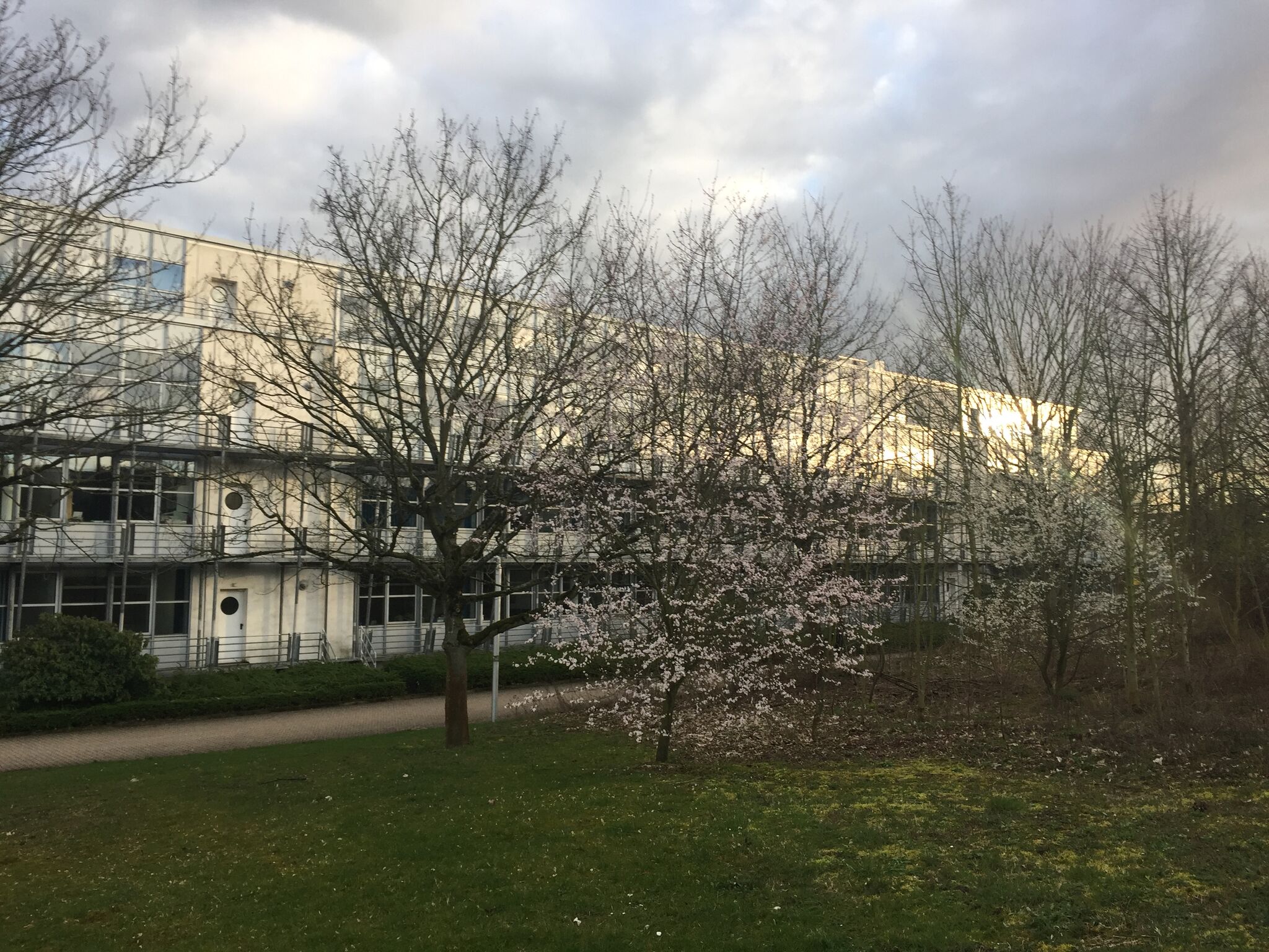 Monatsnotiz März 2019